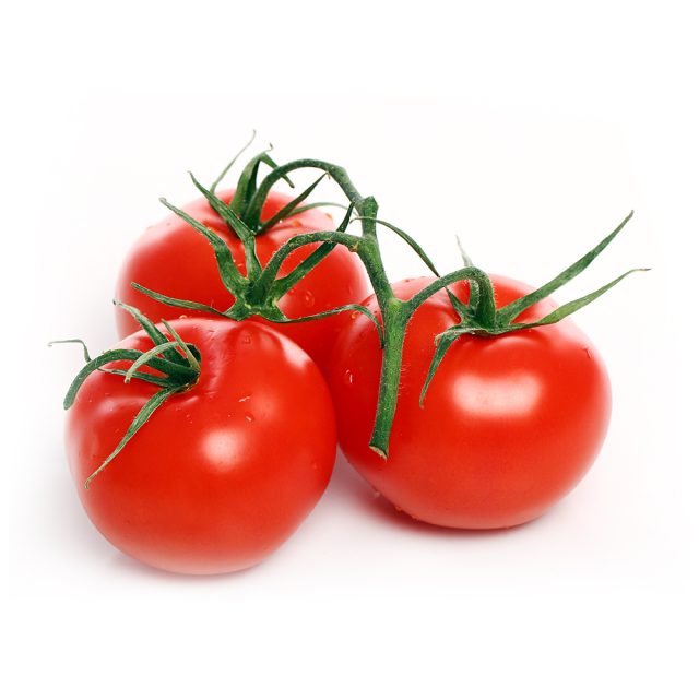 Tomatoes over white background